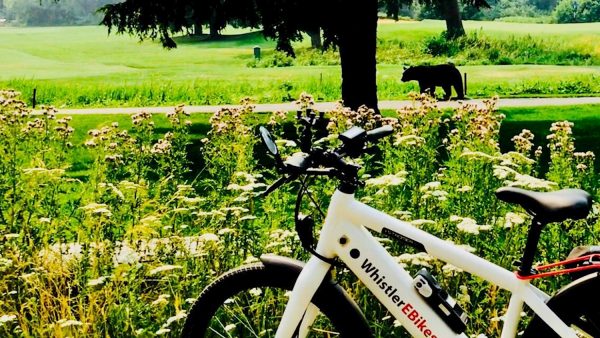 Electric Bike Adventures - Image 2