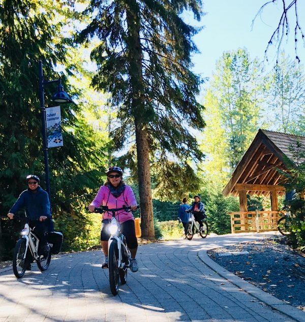 Electric Bike Adventures - Image 3