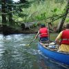 River of Golden Dream Pedal & Paddle