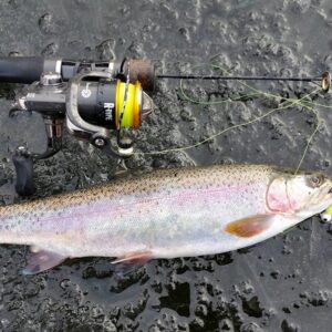 Full Day Walk & Wade (1 person rate)