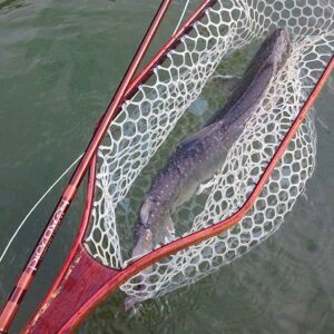 Fishing Trip - Half Day