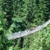 Capilano Bridge & Grouse Mountain - Private Group of 2 People