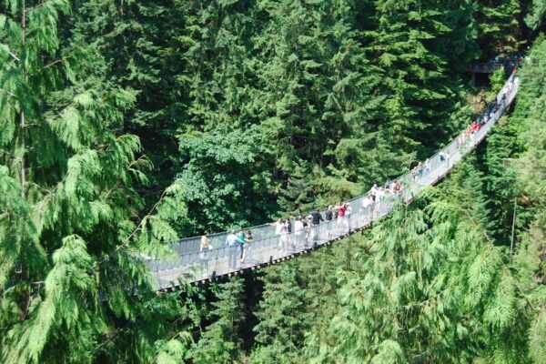 Capilano Bridge & Grouse Mountain - Private Group of 2 People