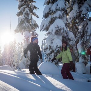 Natural Mystic Snoeshoe Tour