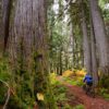 Private Guide - Full Day (7 hrs)