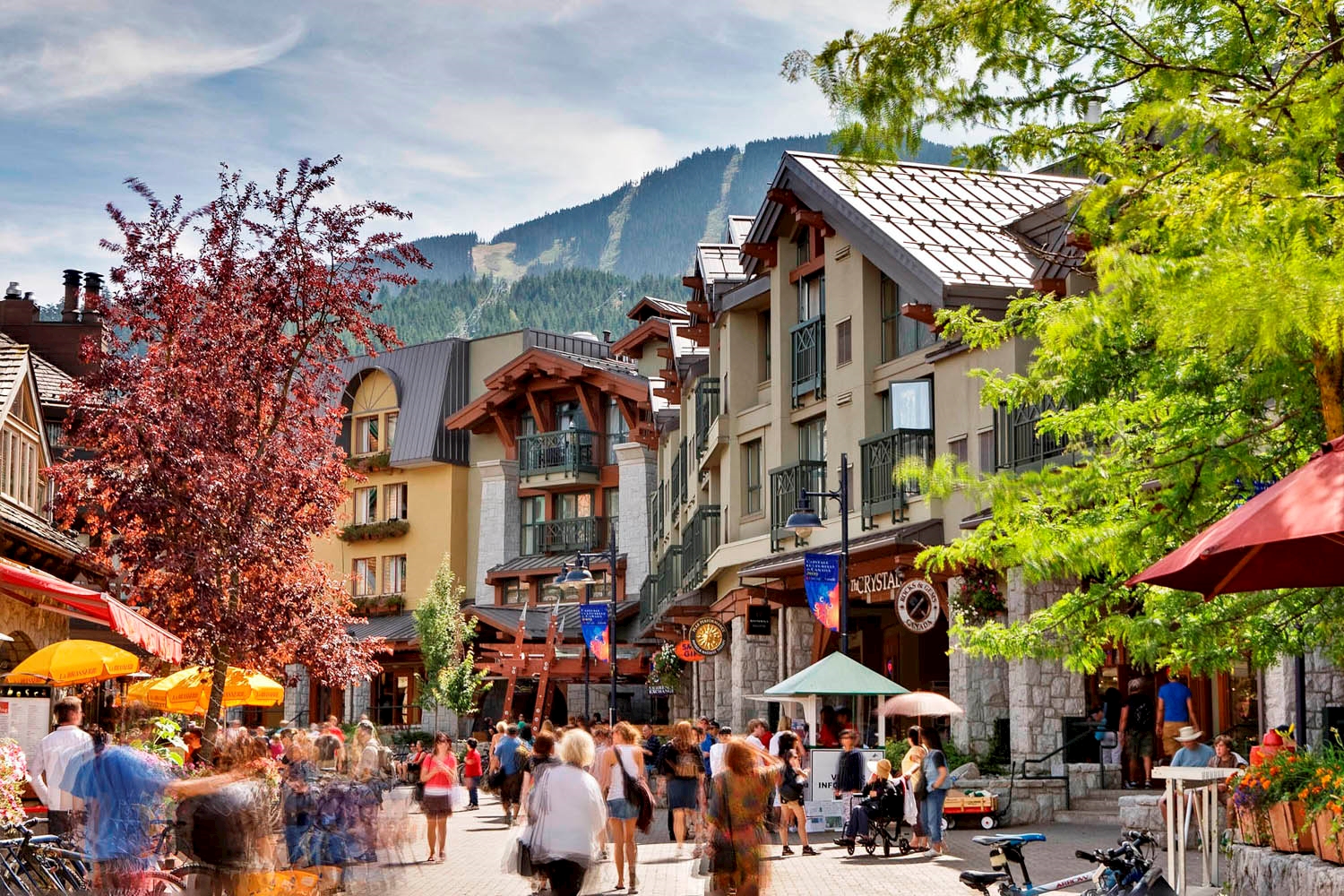 Whistler Village & Valley Sightseeing Tour 13 Whistler Village & Valley Sightseeing Tour