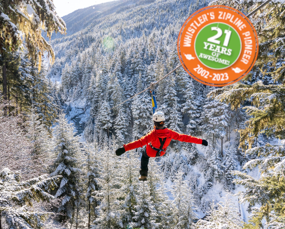Ziptrek baby equipment