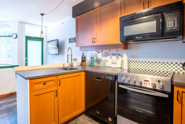 Alpenglow Unit 206 - Image 11