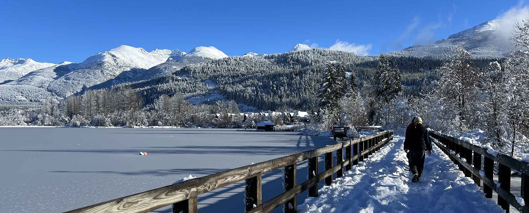 whistler